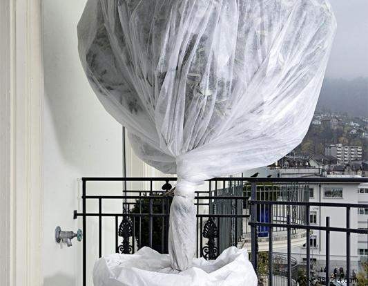 Expert Guide: Protecting Your Plants from Winter Frost and Cold