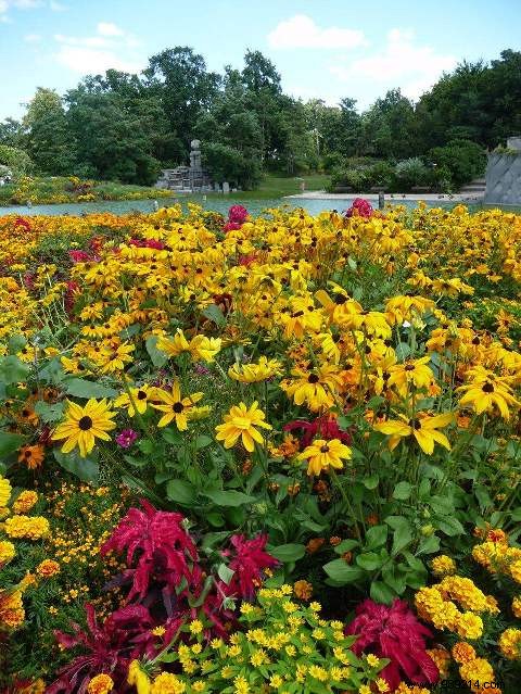 How to Design and Maintain a Vibrant Summer Flower Bed: Expert Gardening Guide
