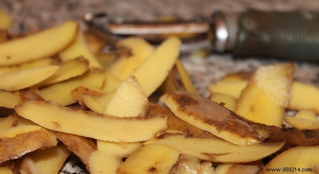 Proven Ways to Recycle Organic Waste at Home: Composting for Gardens and Vermicomposting for Apartments