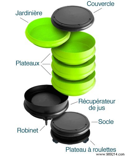 Proven Ways to Recycle Organic Waste at Home: Composting for Gardens and Vermicomposting for Apartments