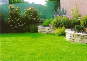 Expert Guide: How to Build a Sturdy, Beautiful Stone Wall for Your Garden