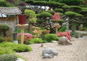 Creating a Serene Japanese Zen Garden at Home: Dream or Achievable Reality?