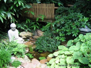 Creating a Serene Japanese Zen Garden at Home: Dream or Achievable Reality?