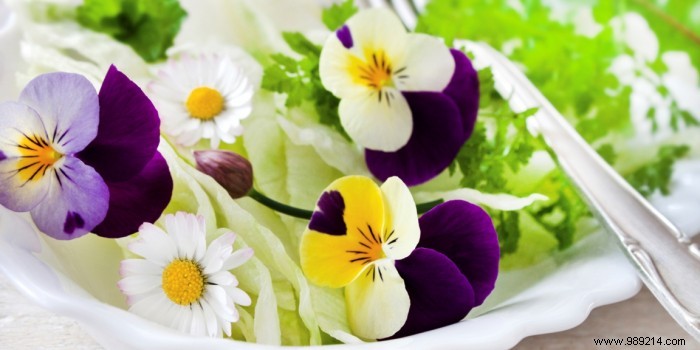 Edible Flowers: Turn Your Garden into a Flavorful Feast