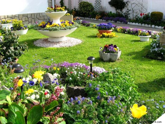 Transform Your Home s Curb Appeal: Create a Stunning Ornamental Garden