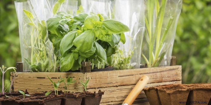April Gardening Guide: Essential Tasks to Revive Your Garden This Spring