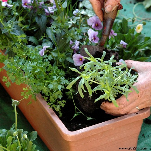 April Gardening Guide: Essential Tasks to Revive Your Garden This Spring