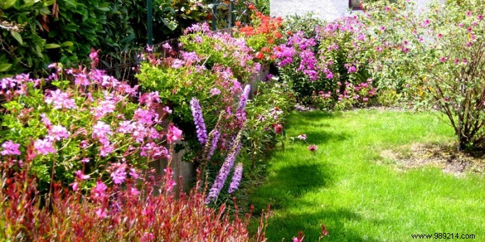 Expert Guide: How to Choose the Perfect Garden Hose and Hose Reel