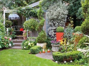 Expert Guide: How to Choose the Perfect Garden Hose and Hose Reel