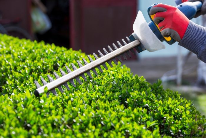 Electric Hedge Trimmer: The Essential Tool for Every Gardener