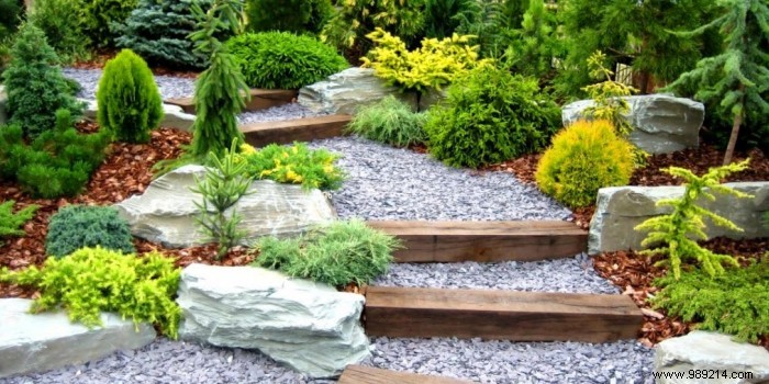 How Expert Landscape Architects Select Premium Plants for Custom Gardens