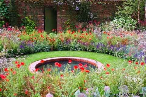 Transform Your Garden into a Vibrant Wildflower Meadow: Expert Low-Maintenance Tips