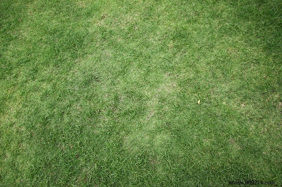 Expert Guide: How to Automate Lawn Watering for a Lush, Healthy Yard