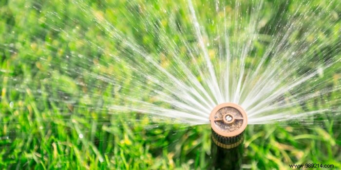 Expert Guide: How to Automate Lawn Watering for a Lush, Healthy Yard
