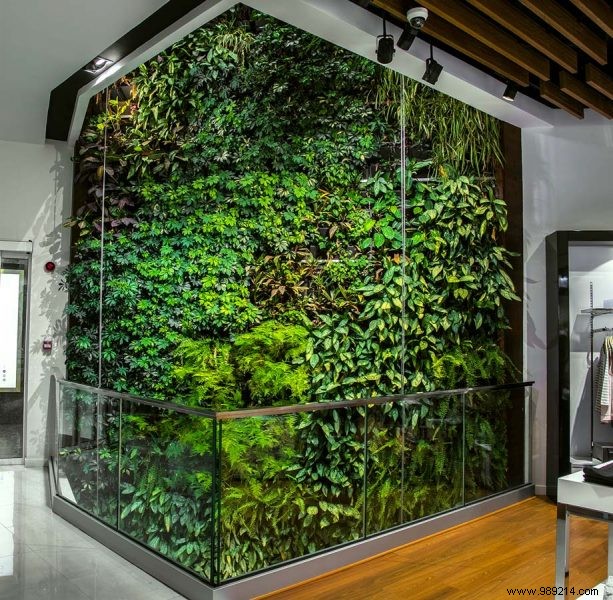 How to Create a Stunning Green Wall for Your Garden: Expert Installation Guide and Benefits