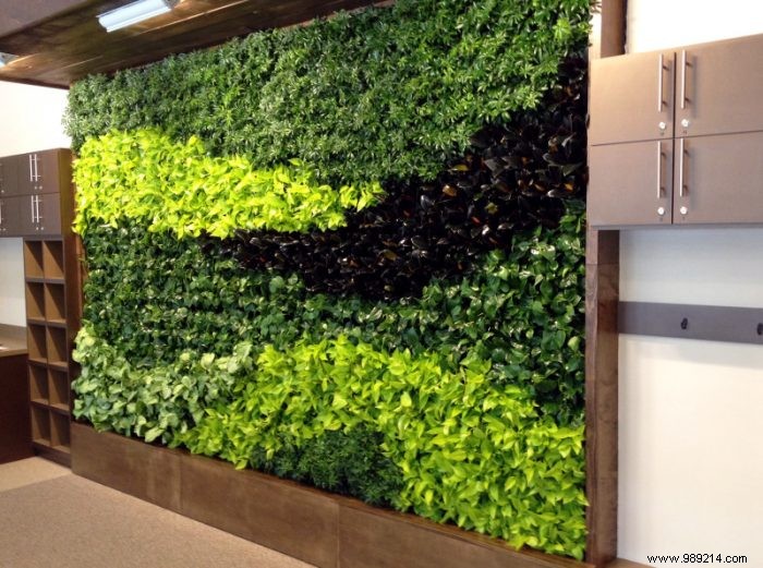 How to Create a Stunning Green Wall for Your Garden: Expert Installation Guide and Benefits