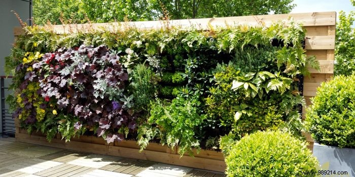 How to Create a Stunning Green Wall for Your Garden: Expert Installation Guide and Benefits