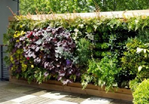 How to Create a Stunning Green Wall for Your Garden: Expert Installation Guide and Benefits
