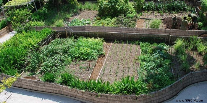 Build a Thriving Natural Garden: Permaculture and Agroforestry for Ecosystem Harmony