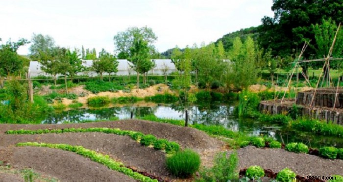 Build a Thriving Natural Garden: Permaculture and Agroforestry for Ecosystem Harmony