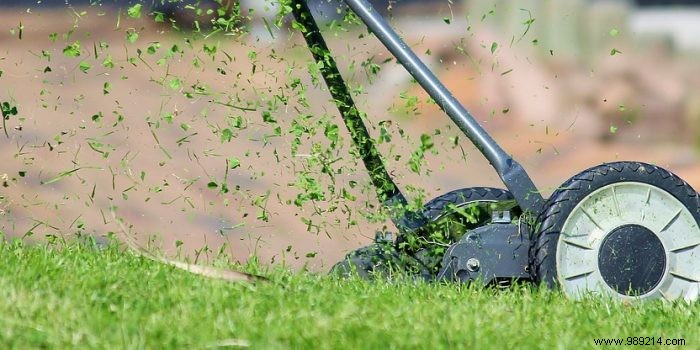 4 Essential Steps for Expert Lawn Maintenance and a Lush Green Yard