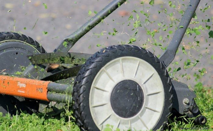 4 Essential Steps for Expert Lawn Maintenance and a Lush Green Yard