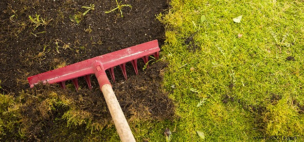 4 Essential Steps for Expert Lawn Maintenance and a Lush Green Yard