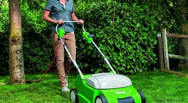 The Essential Scarifier: Transform Your Lawn with Professional Results