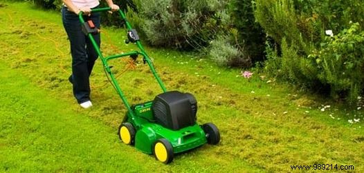 The Essential Scarifier: Transform Your Lawn with Professional Results