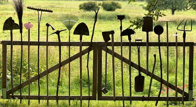 5 Thoughtful Garden Gift Ideas Perfect for Christmas