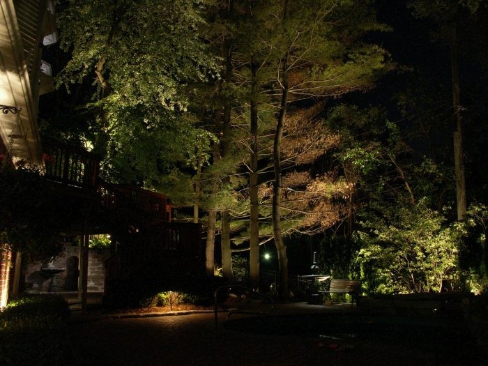 5 Thoughtful Garden Gift Ideas Perfect for Christmas