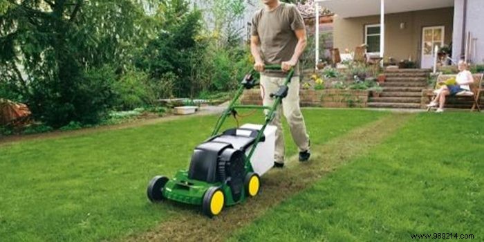 Electric vs. Thermal Scarifier: Which is Right for Your Lawn?