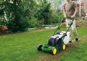 Electric vs. Thermal Scarifier: Which is Right for Your Lawn?