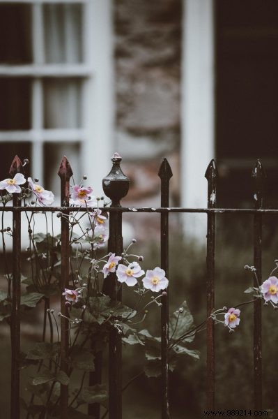 Transform Your Garden with Timeless Wrought Iron: Expert Ideas and Maintenance Guide