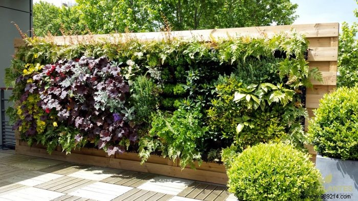 Safeguard Your Terraces and Walkways with Proven Anti-Root Barriers