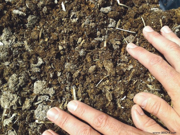 Chicken Manure: A Nutrient-Packed Organic Fertilizer for Thriving Gardens