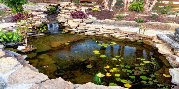 Expert Guide: Protecting Your Garden Pond for Year-Round Beauty