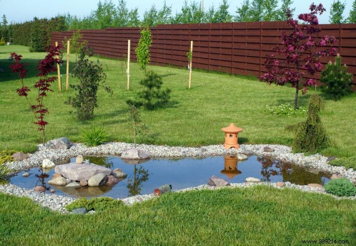 Expert Guide: Protecting Your Garden Pond for Year-Round Beauty