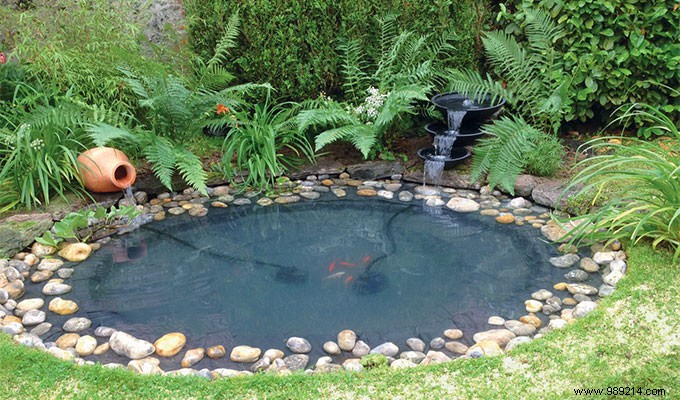 Expert Guide: Protecting Your Garden Pond for Year-Round Beauty