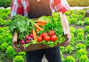 Sustainable Gardening: Smart Ways to Recycle Kitchen Waste for Thriving Plants