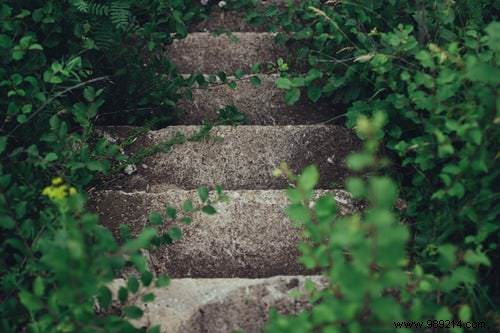 Expert Guide: Designing Your Dream Garden Step by Step