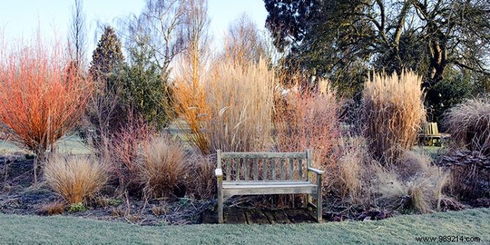 Expert Guide: Maintaining a Beautiful Winter Garden Year-Round