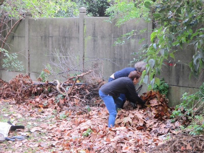 Expert Guide: Maintaining a Beautiful Winter Garden Year-Round