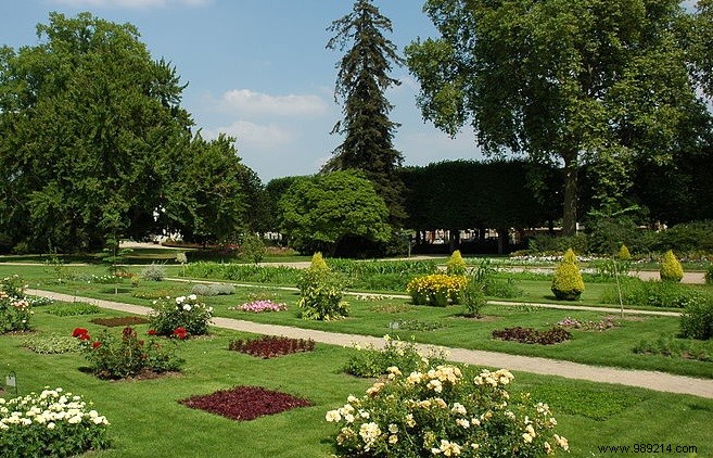 3 Expert DIY Tips for Stunning Garden Decoration on a Budget