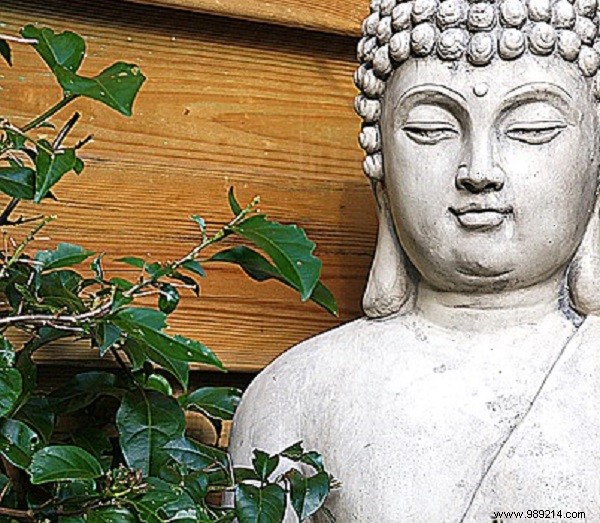 How to Create a Serene Outdoor Zen Garden: Expert Step-by-Step Guide