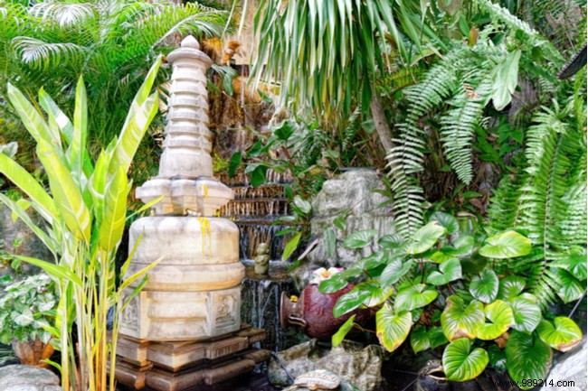 Create a Stunning Garden on a Budget: Expert Tips and Ideas