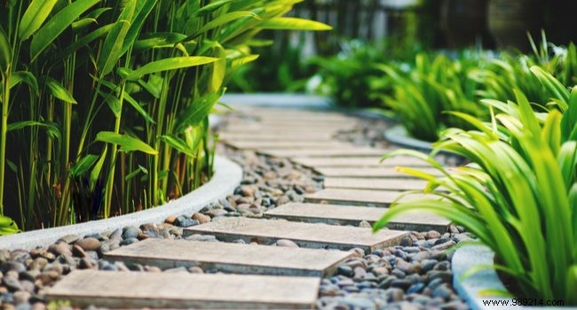 Create a Stunning Garden on a Budget: Expert Tips and Ideas