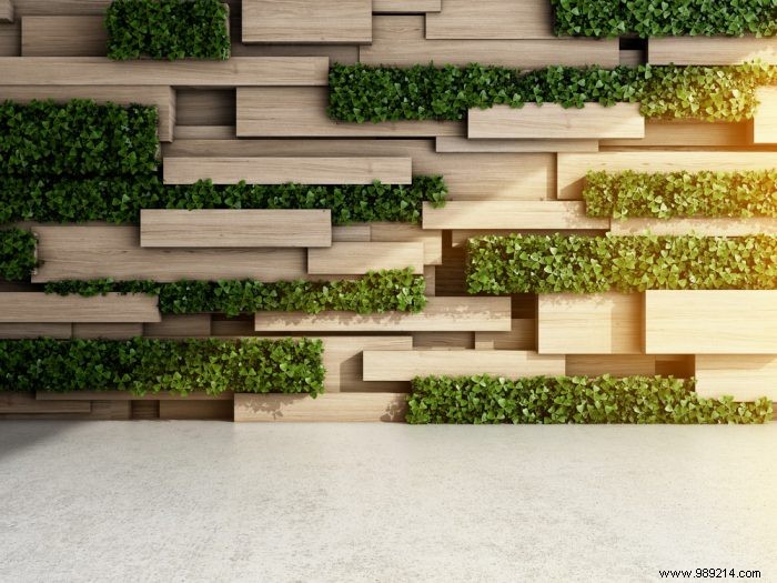 Transform Your Garden with Gabions: Expert Ideas for Stunning Walls, Fences, and Greenery