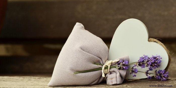 How to Plant Lavender: Top Varieties, Benefits, and Expert Care Tips