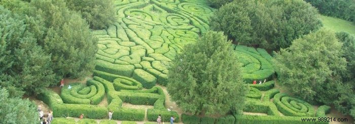 Elevate Your Outdoor Space with Timeless Neo-Baroque Style: Expert Tips